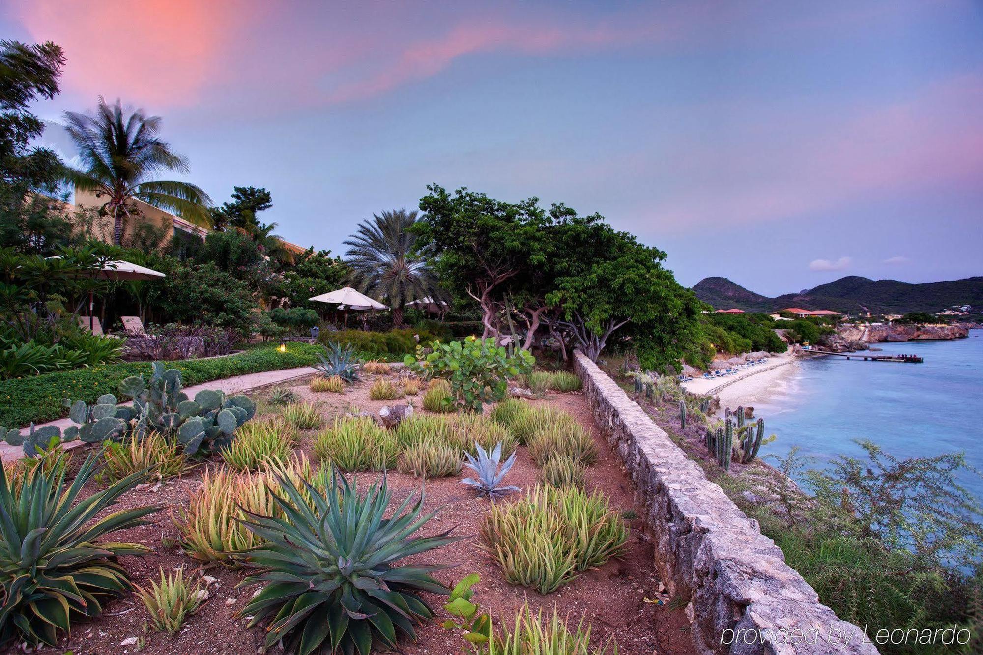 Kura Hulanda Lodge & Beach Club Westpunt Fasiliteter bilde